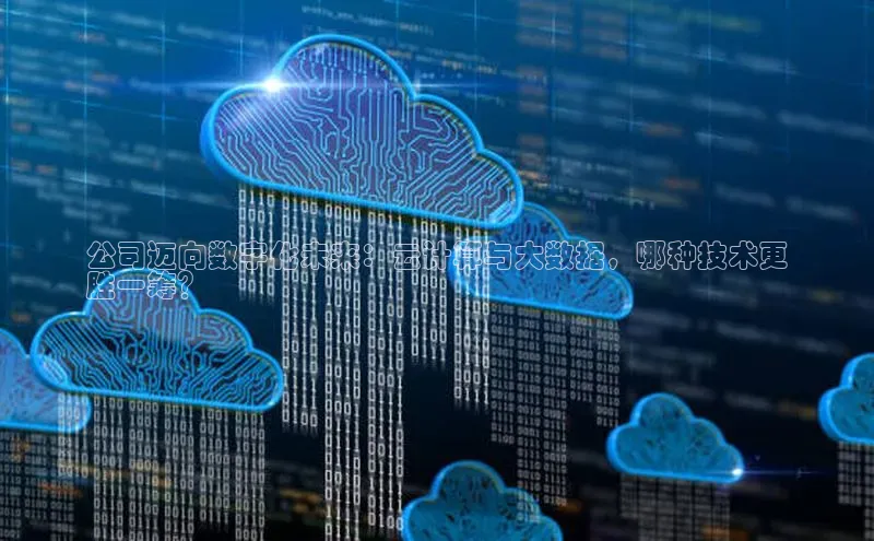 凯捷ARGA公司公司迈向数字化未来：云计算与大数据，哪种技术更
胜一筹？