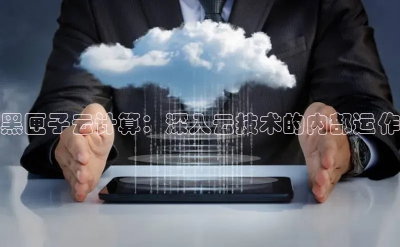 凯捷娱乐赛富乐斯黑匣子云计算：深入云技术的内部运作