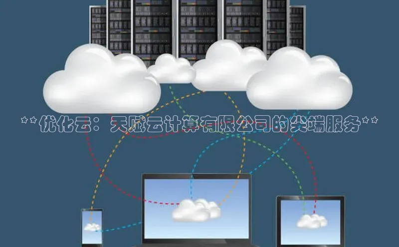 意昂4凯捷美团**优化云：天赋云计算有限公司的尖端服务**