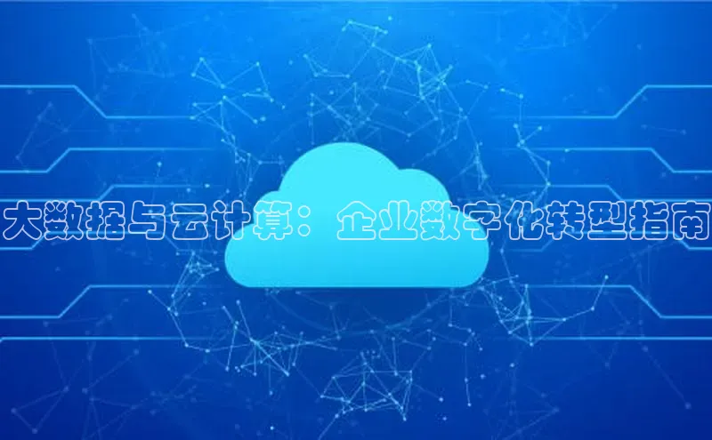 凯捷娱乐赛富乐斯大数据与云计算：企业数字化转型指南