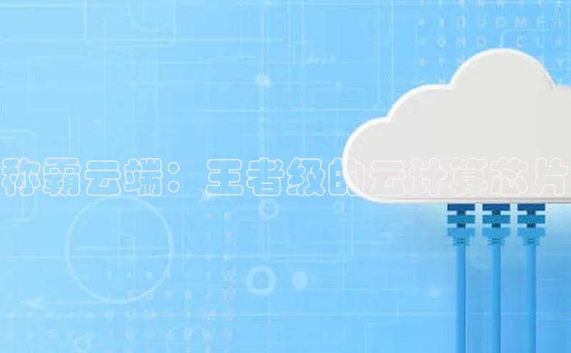 意昂4凯捷娱乐顺丰称霸云端：王者级的云计算芯片