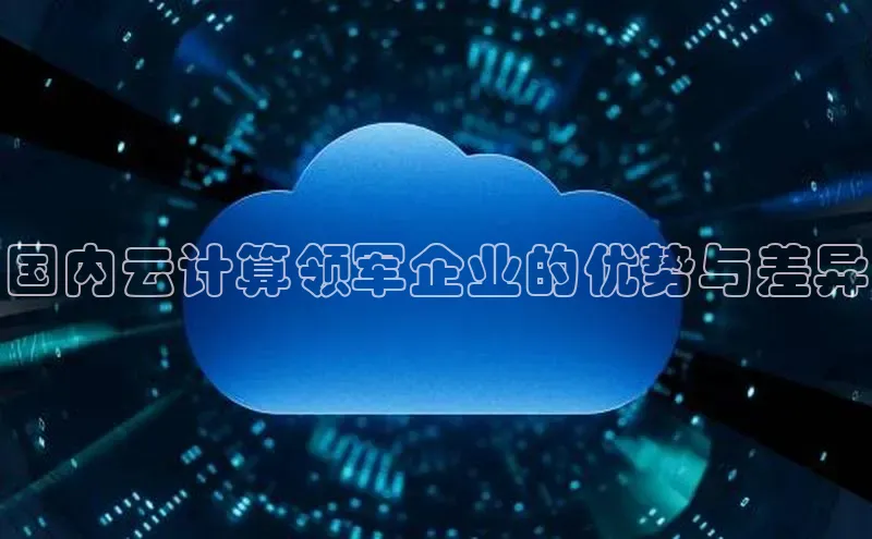 意昂4凯捷娱乐挪威主权基金国内云计算领军企业的优势与差异