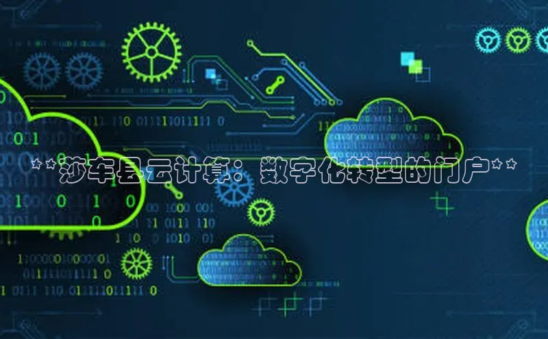 意昂4凯捷体育诸葛科技**莎车县云计算：数字化转型的门户**