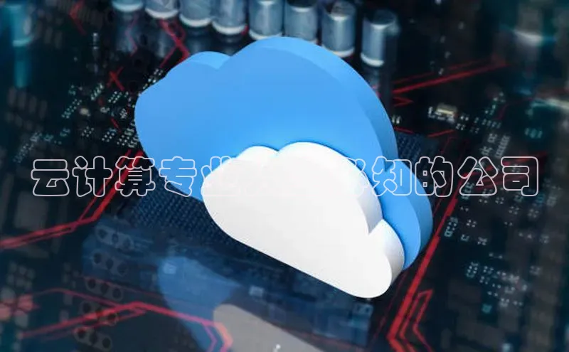 凯捷娱乐百度手机输入法云计算专业人士必知的公司