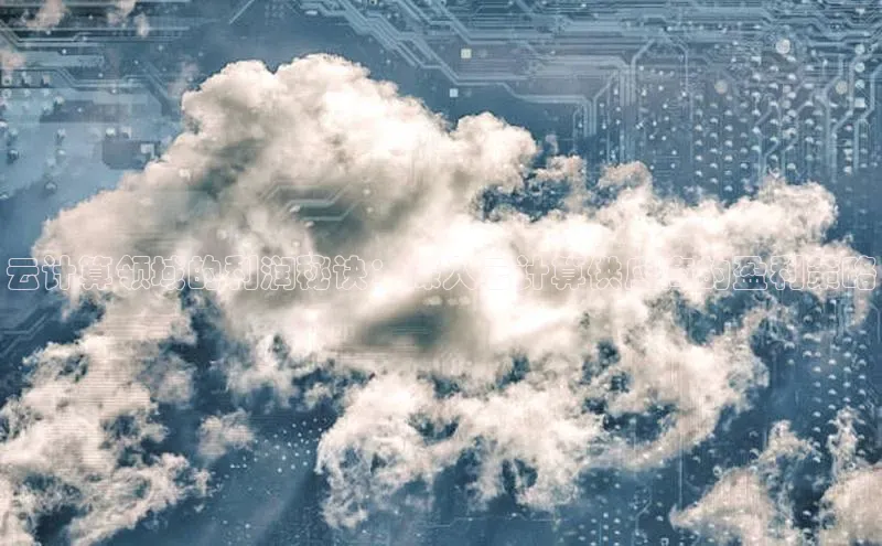 意昂4凯捷百度百聘云计算领域的利润秘诀：深入云计算供应商的盈利策略