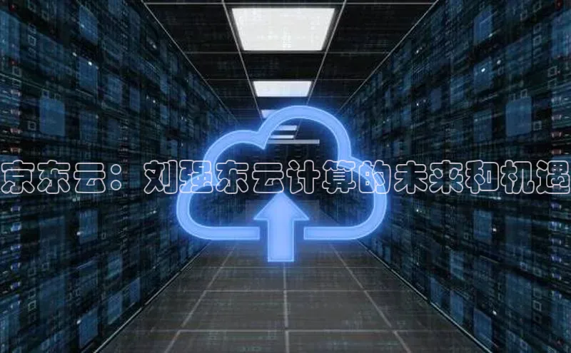 意昂4凯捷百度百聘京东云：刘强东云计算的未来和机遇